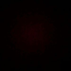 Meet your Posher, Tevya